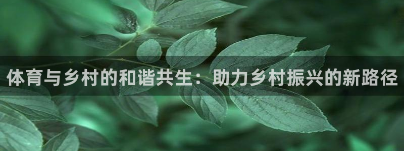 球进体育：体育与乡村的和谐共生：助力乡村振兴的新路径