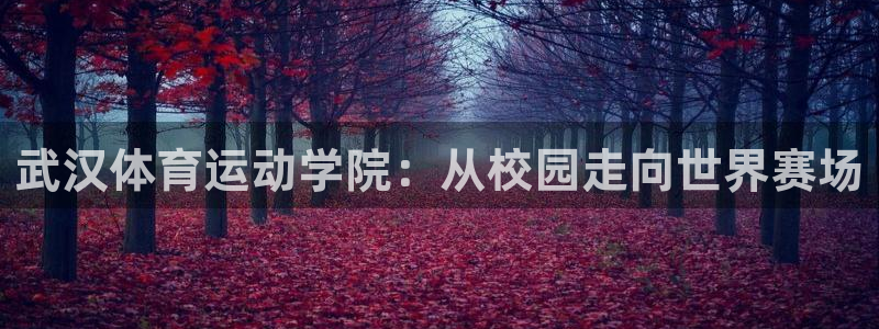 球进体育：武汉体育运动学院：从校园走向世界赛场