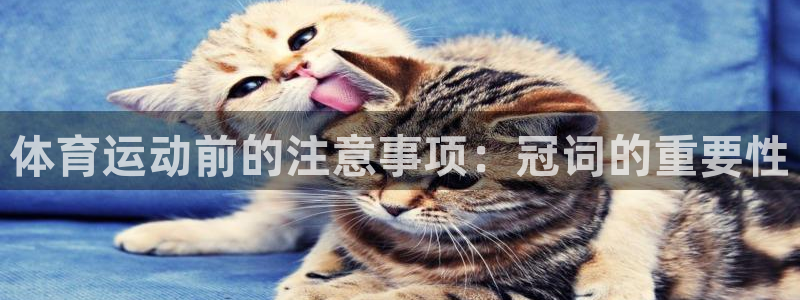 球进体育app：体育运动前的注意事项：冠词的重要性