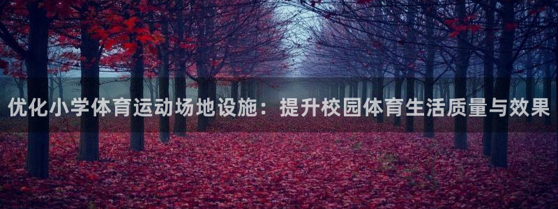 球进体育：优化小学体育运动场地设施：提升校园体育生活质量与效果