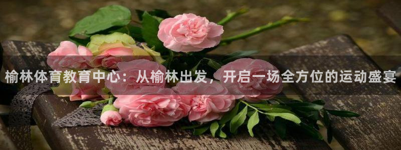 球进体育：榆林体育教育中心：从榆林出发，开启一场全方位的运动盛宴