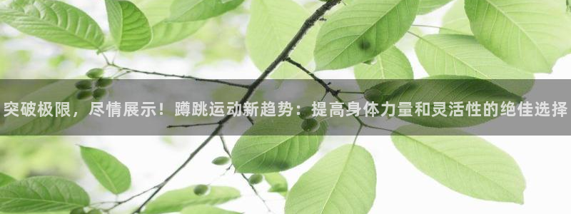 球进体育APP下载安装：突破极限，尽情展示！蹲跳运动新趋势：提高身体力量和灵活性的绝佳选择
