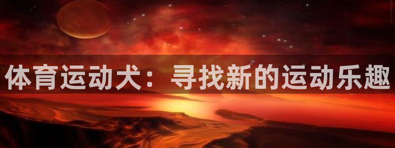 球进体育吧：体育运动犬：寻找新的运动乐趣