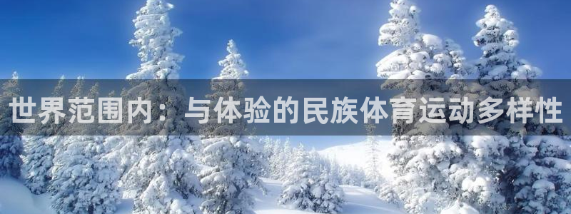 球进体育app下载：世界范围内：与体验的民族体育运动多样性